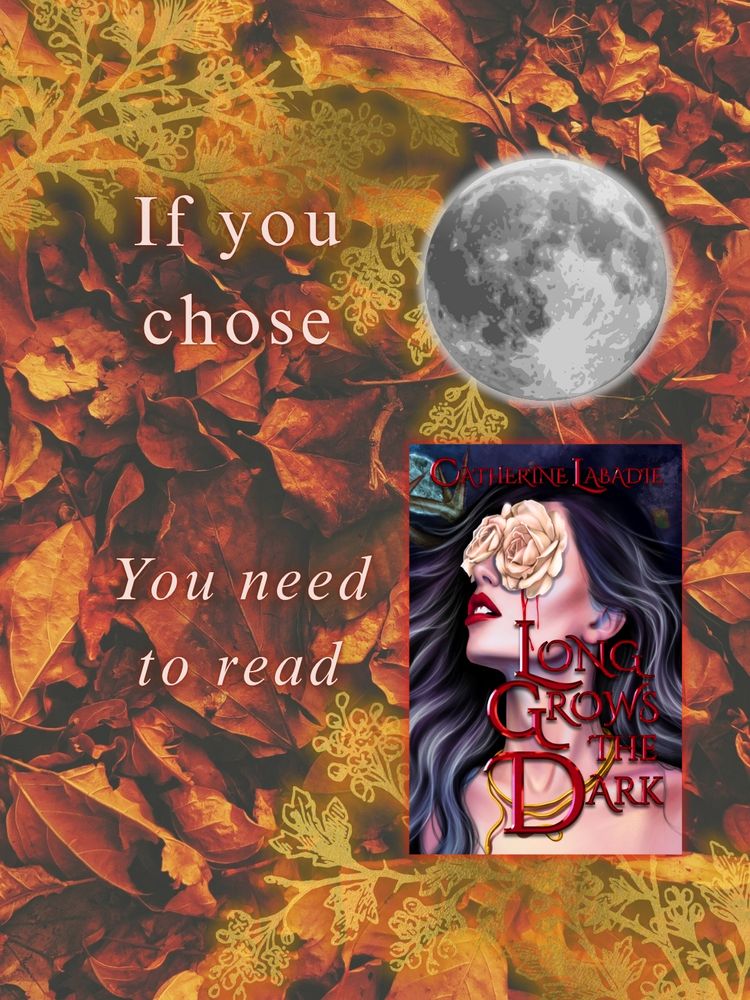 Long Grows the Dark by Catherine Labadie 