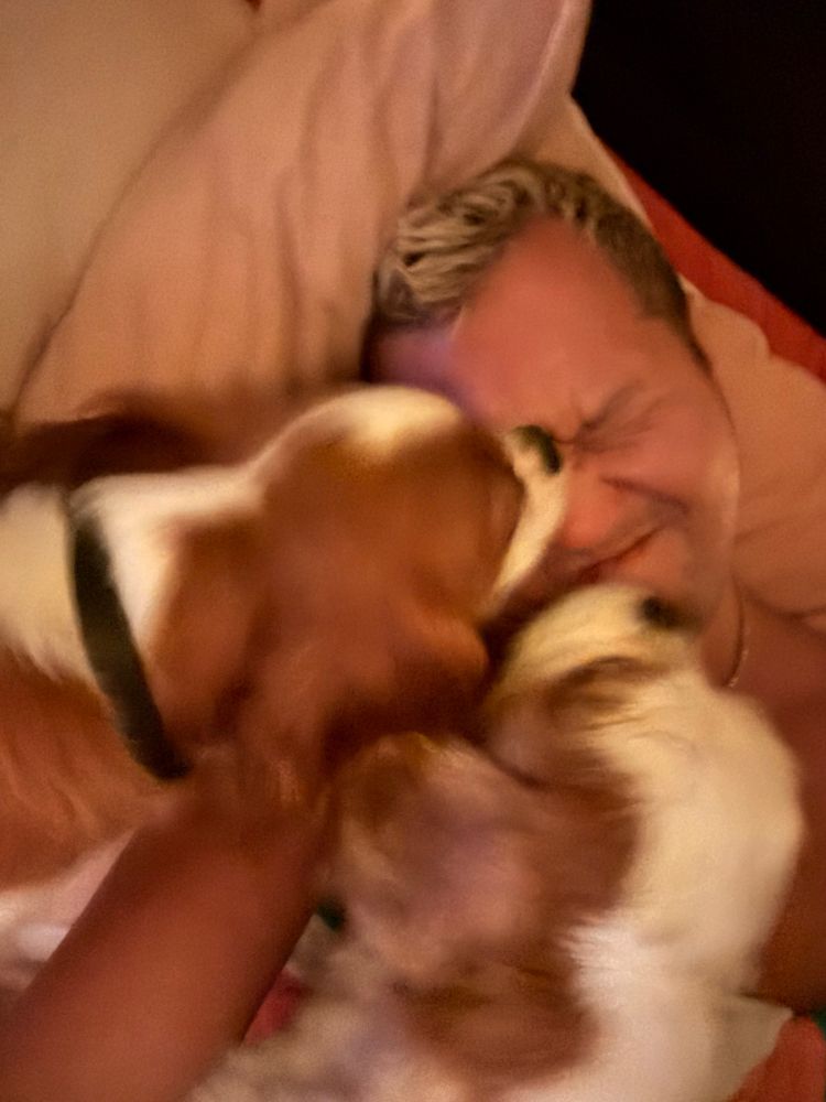laying in bed being attacked by two puppies licking my face