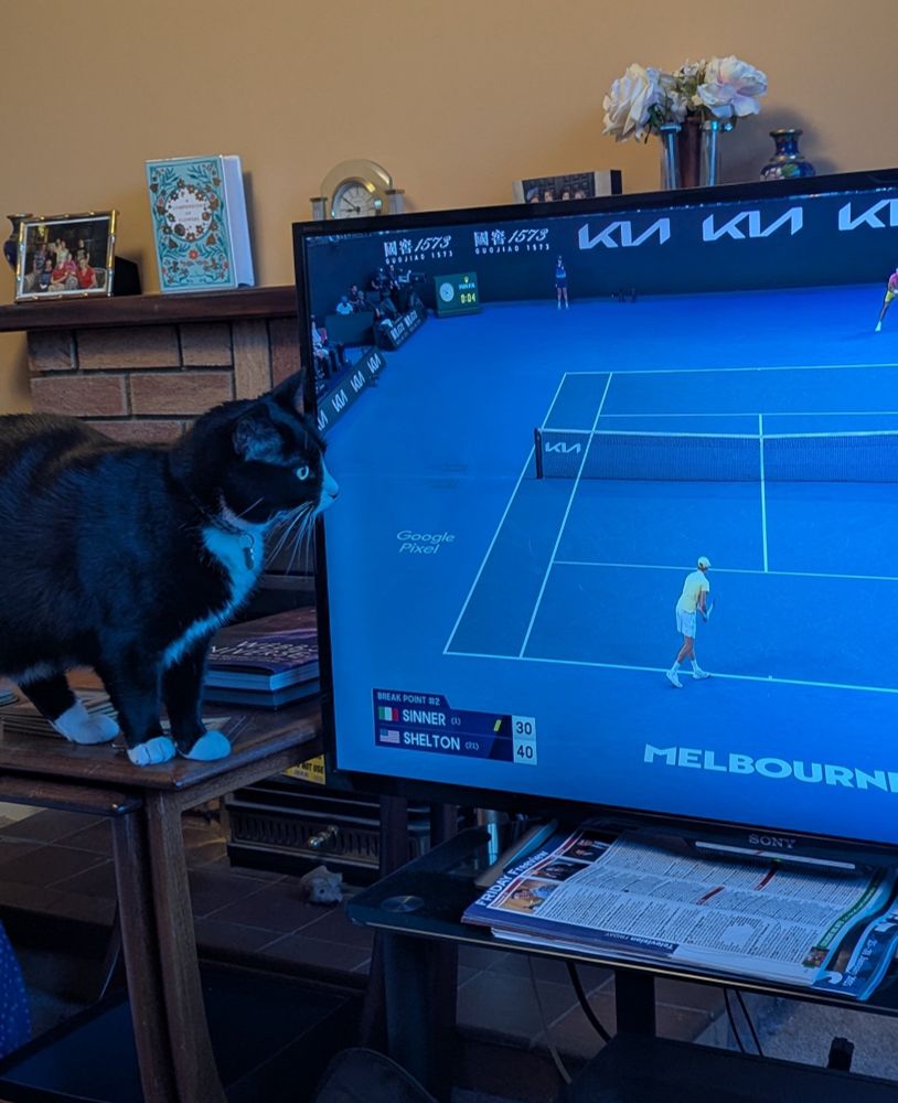 A black and white cat is watching the tennis on the television 