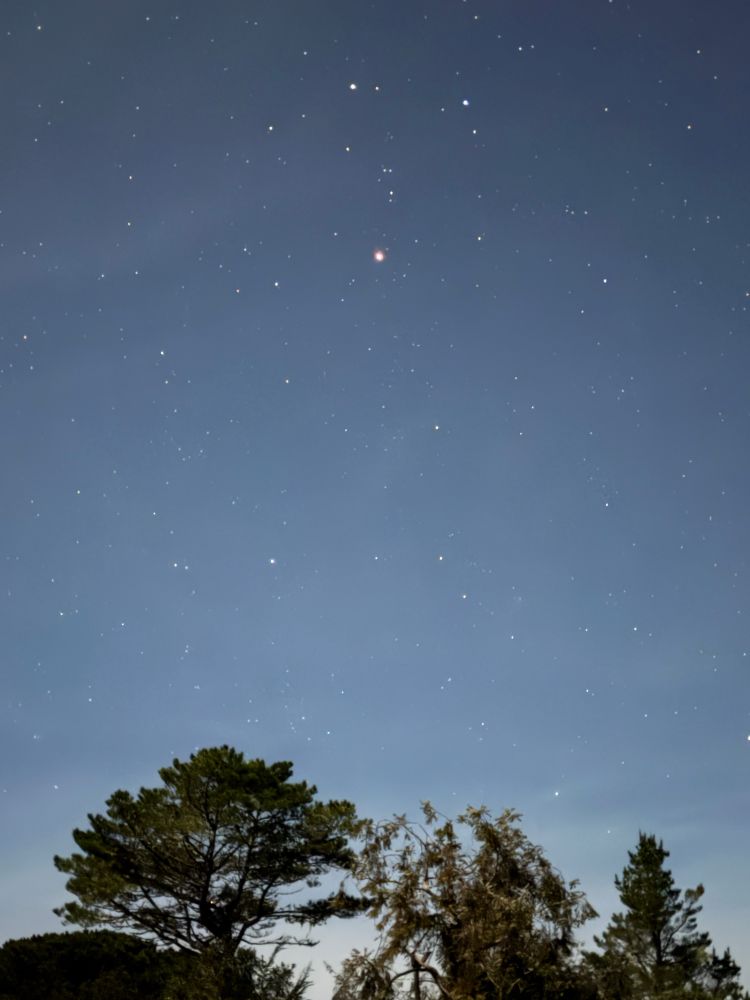 Beautiful photograph of the evening sky with Mars shining brightly in the center above some trees with other stars. 
📷James Wright- Cambria, CA on 14 Feb 2025.