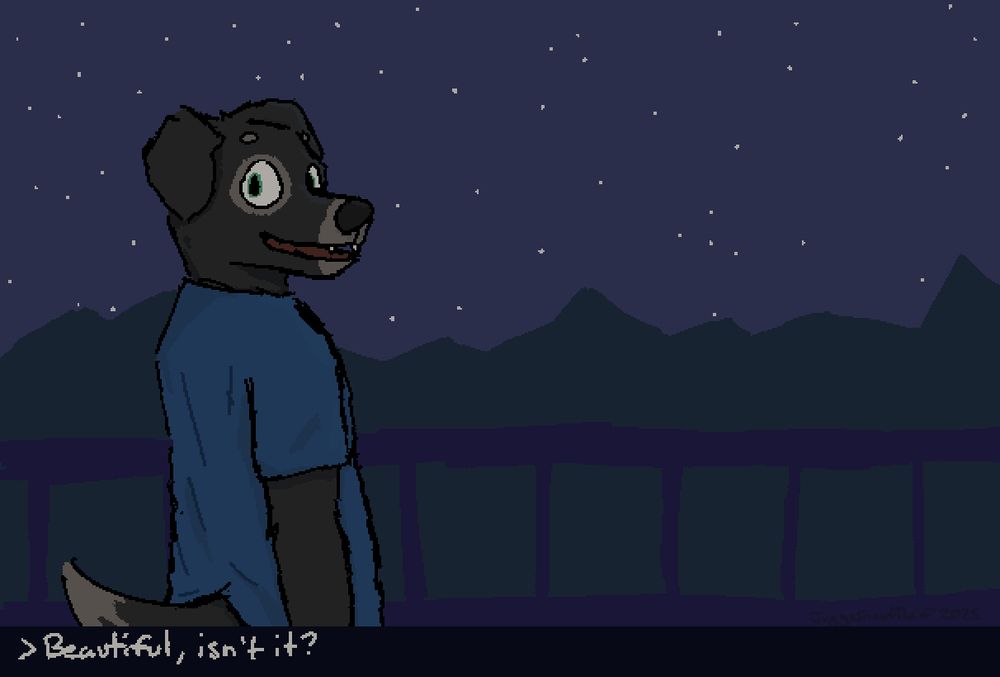 A dark-gray and gray anthro Labrador Retriever named Jay (labrodoriteknight's character) is standing next to a beautiful night sky filled with stars. They are on a balcony wearing a cyan shirt partially turned around looking off to the side of the viewer. They are saying "Beautiful, isn't it?"
