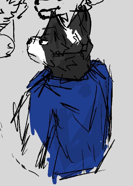 (Sketchy) dark-gray and white border collie looking into the distance wearing a blue shirt.