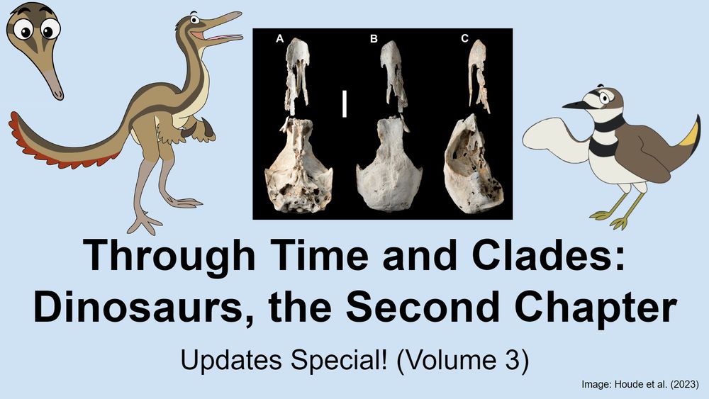 Video thumbnail with cartoon dinosaur avatars of the video hosts (an alvarezsaur and a killdeer) standing on either side of a fossil bird skull photographed in multiple views.