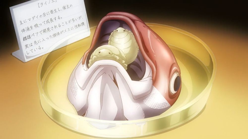Screenshot from the anime Slow Loop showing a model of a fish head with parasitic isopods in its mouth.