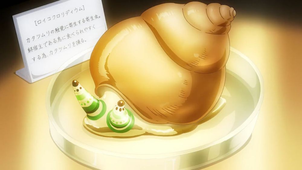 Screenshot from the anime Slow Loop showing a model of a snail infected by Leucochloridium flatworms.