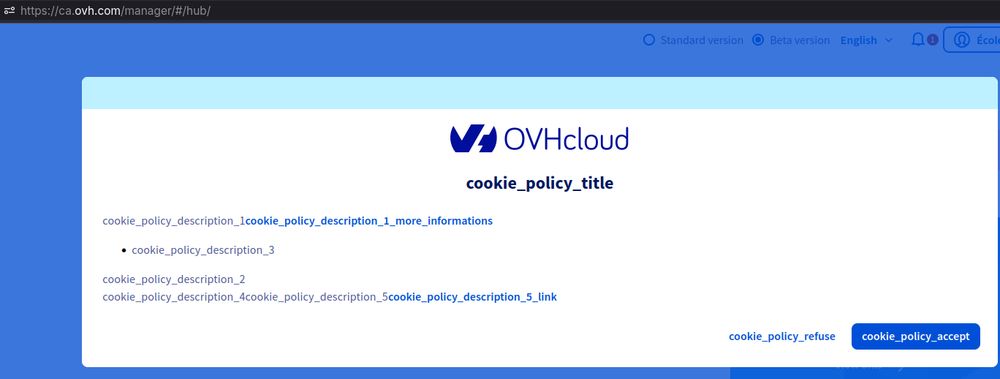 The cookie policy popup on OVHcloud's mangement panel is missing the strings values and instead show the key names as placeholders.