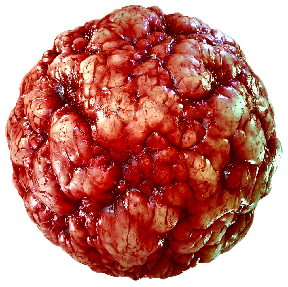 Moon made of diseased meat