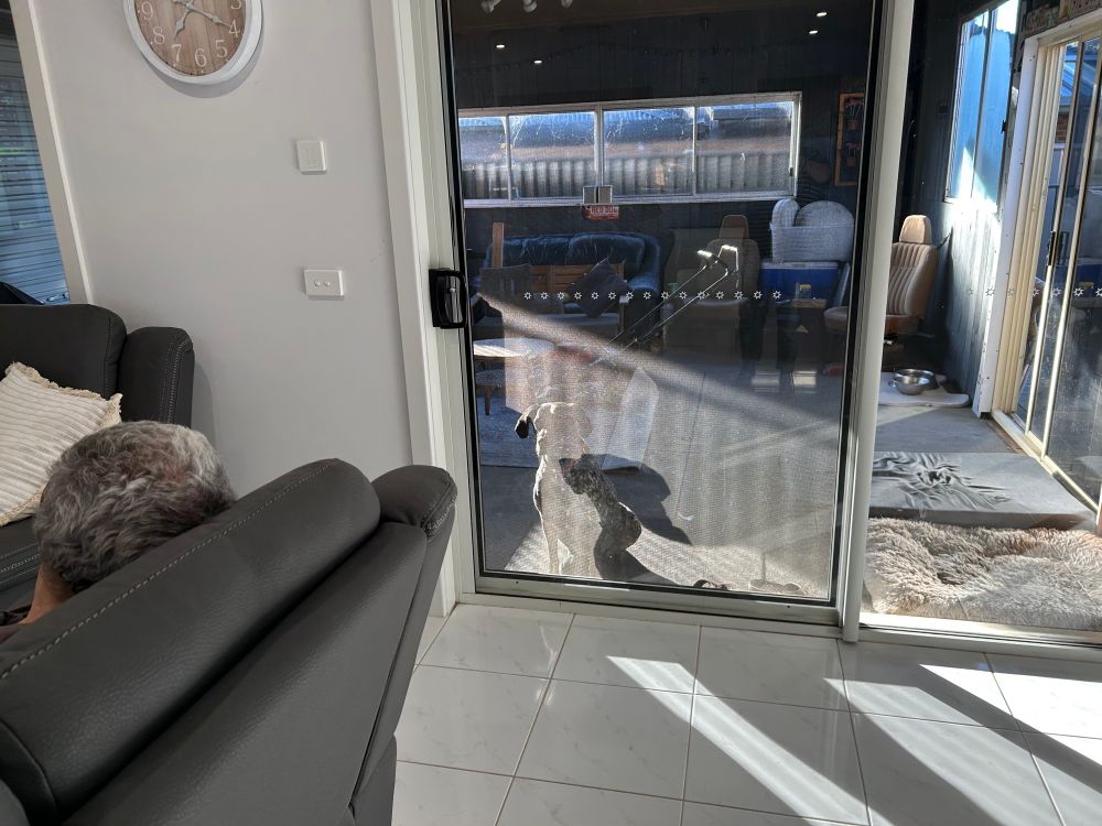 A fog and her shadow