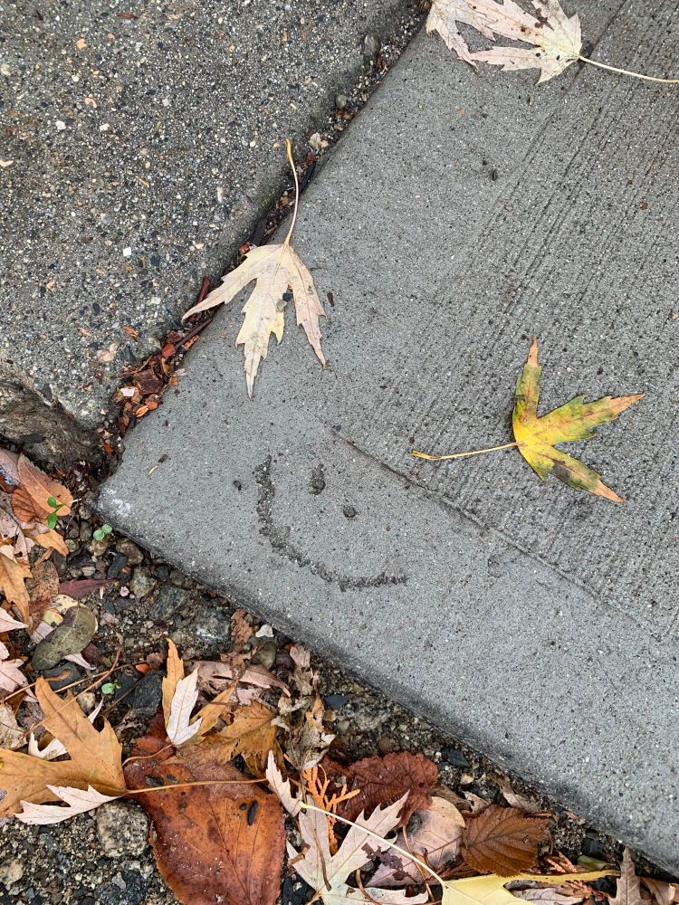 a sidewalk with a smiley face drawn into it before the cement dried. there are fallen leaves all around it