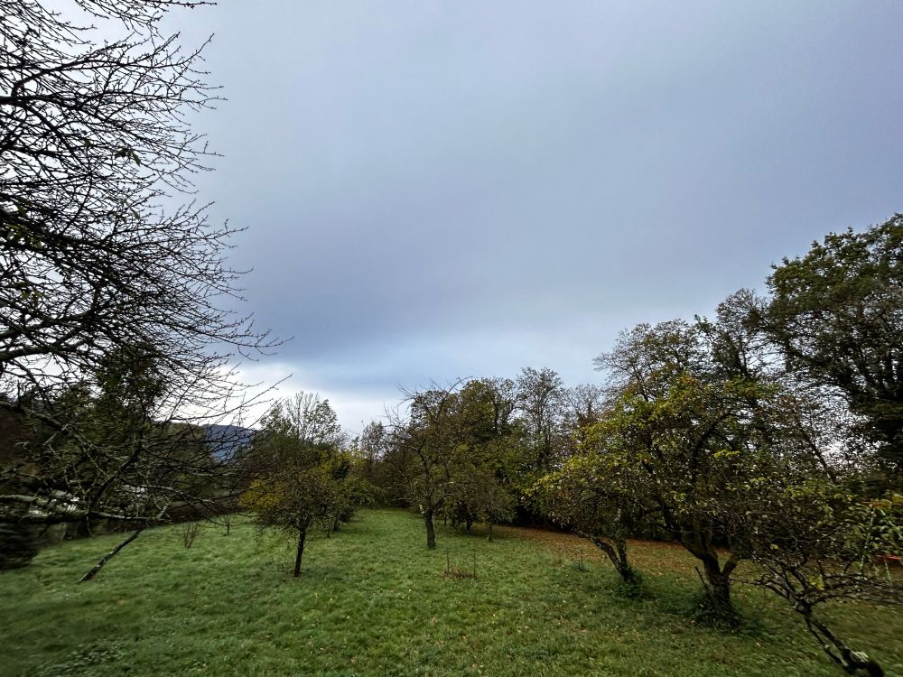 Toujours automne