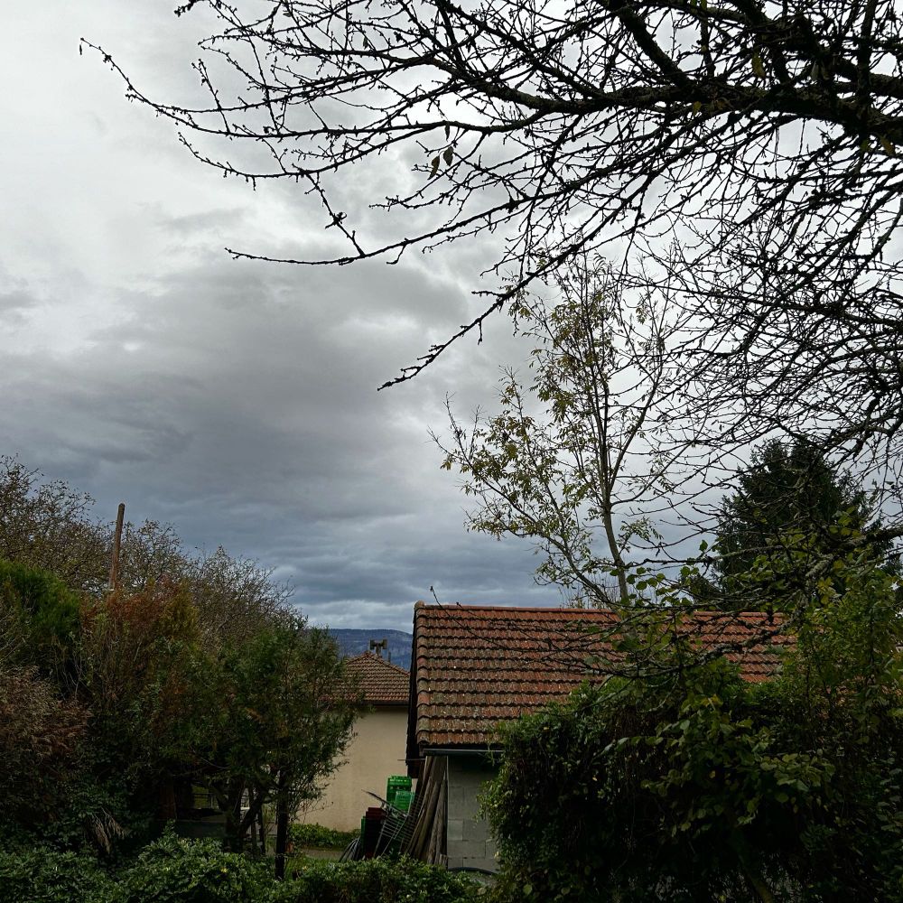 Automne