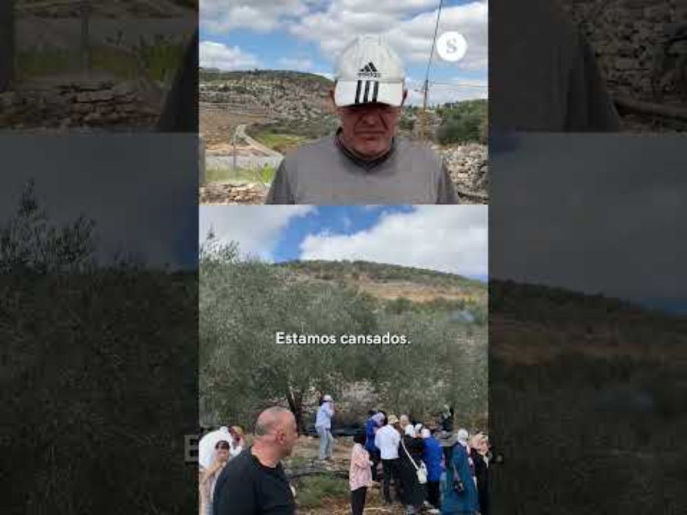 🇵🇸Agricultor palestino hostigado por colonos israelíes: “Yo no abandono mi tierra”.