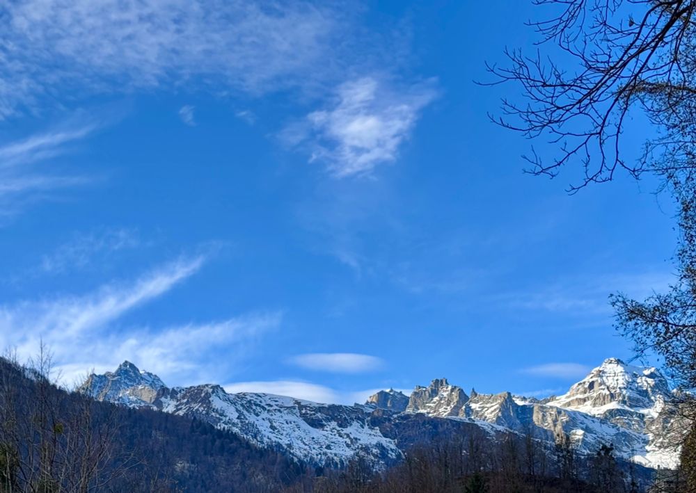Sullo sfondo montagne innevate a destra rami di un albero spoglio sporgono. Cielo azzurro con poche nuvole 