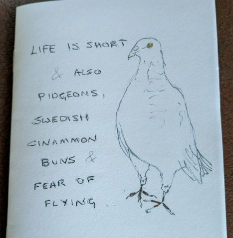 Cover of "Life is short & also pidgeons, Swedish cinammon buns & fear of flying" illustrated by plump upright pigeon with all-knowing eye