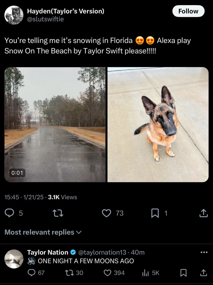 Screenshot: Taylor Nation Replied to user slutswiftie

slutswiftie:  “You’re telling me it’s snowing in Florida 😍😍 Alexa play Snow On The Beach by Taylor Swift please!!!!!”

TN: “🔊 ONE NIGHT A FEW MOONS AGO”