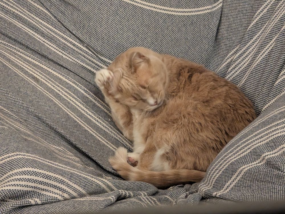 An orange cat on a blue and white blanket cleaning his face.