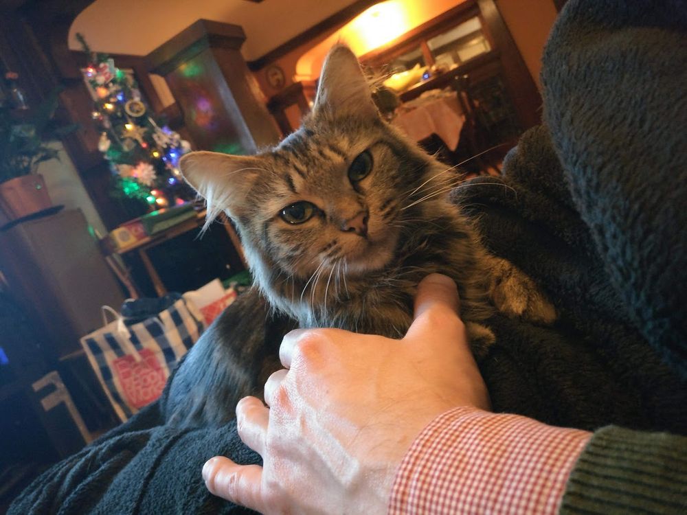 the actually elusive Elis