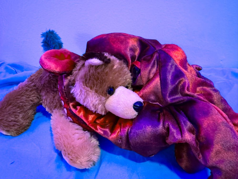 Octopus plush toy with two tentacles hugging its pet Coyote.