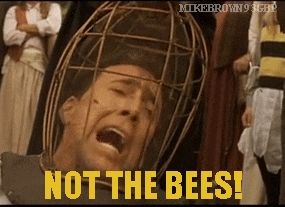 Nic Cage has a helmet with bees on his head. He screams with a caption NOT THE BEES! 