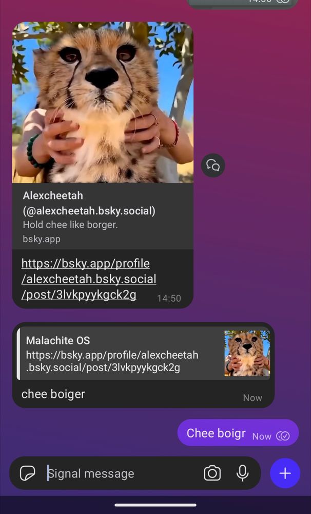 Chee boigr 