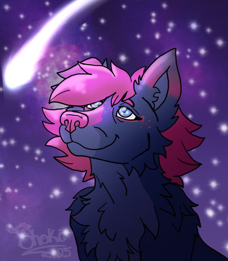 A young canid/wolf OC stares up at a starry sky, as a shooting star goes by.