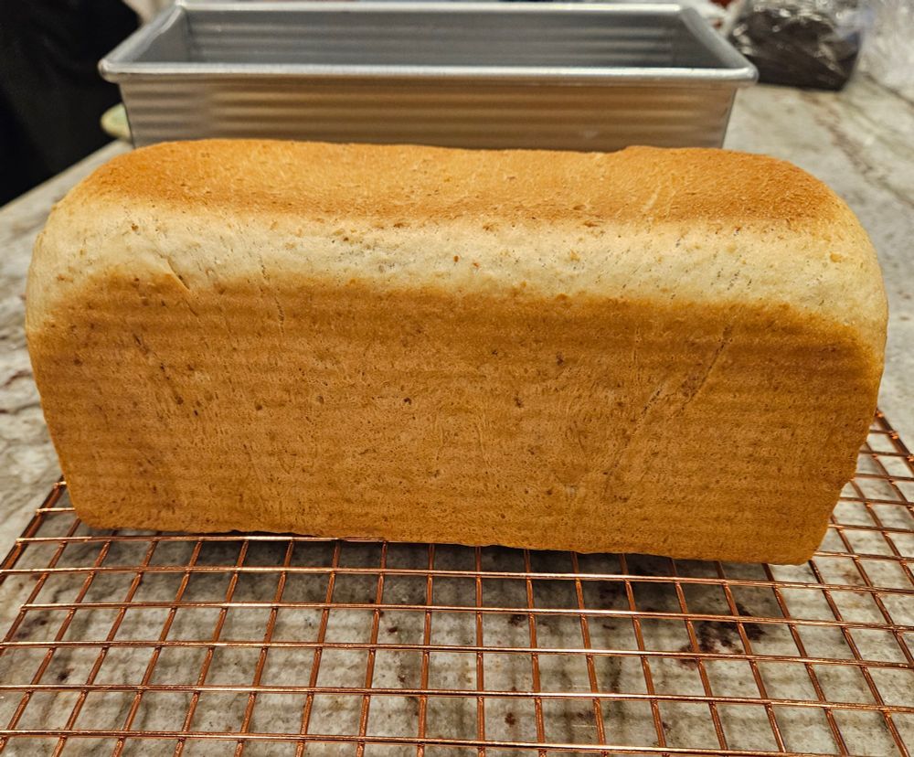 Honey oat bread baked in a Pullman pan cooling on a Bradley rack