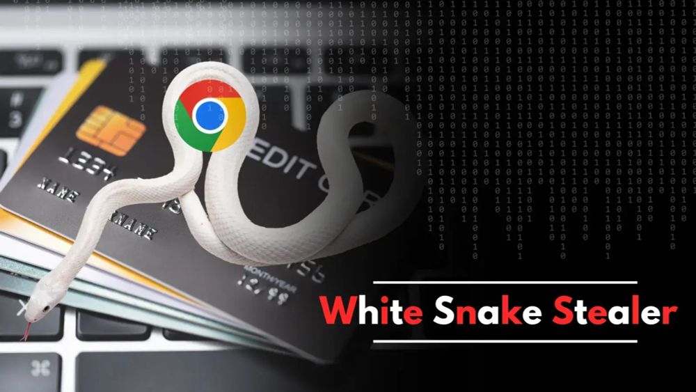 White Snake Updated New Features to Steal Credit Cards CVC Codes from Chrome