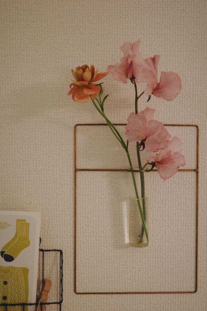 ラナンキュラス、火曜日の咲いた姿。