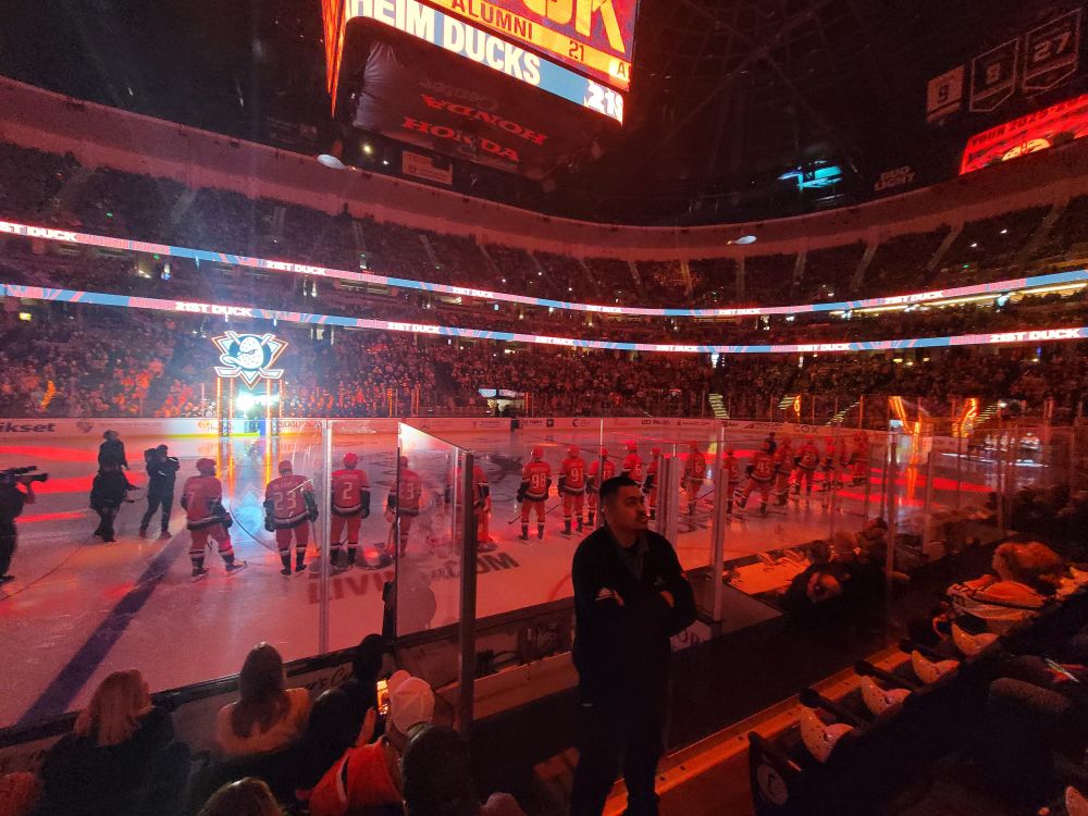 A screenshot of the backs of the Anaheim Ducks hockey players