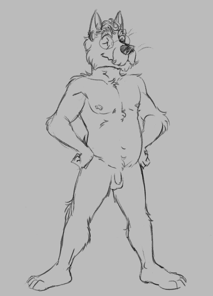 A nude anthro Scottish terrier with glasses stands with hands on his hips.