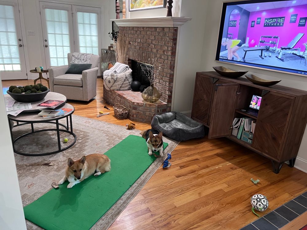Corgi exercise