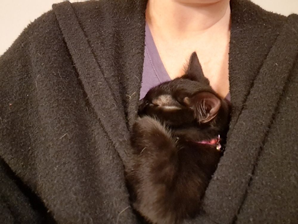 A sleeping black kitten swaddled in a sweater against a human chest. Only her head and right front leg are visible. 