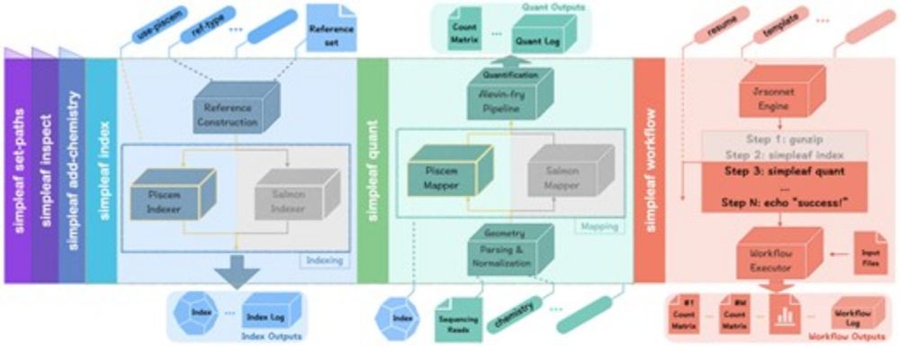 simpleaf: a simple, flexible, and scalable framework for single-cell data processing using alevin-fr...