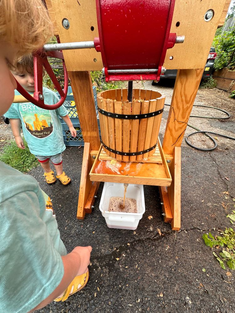 babies making cider 