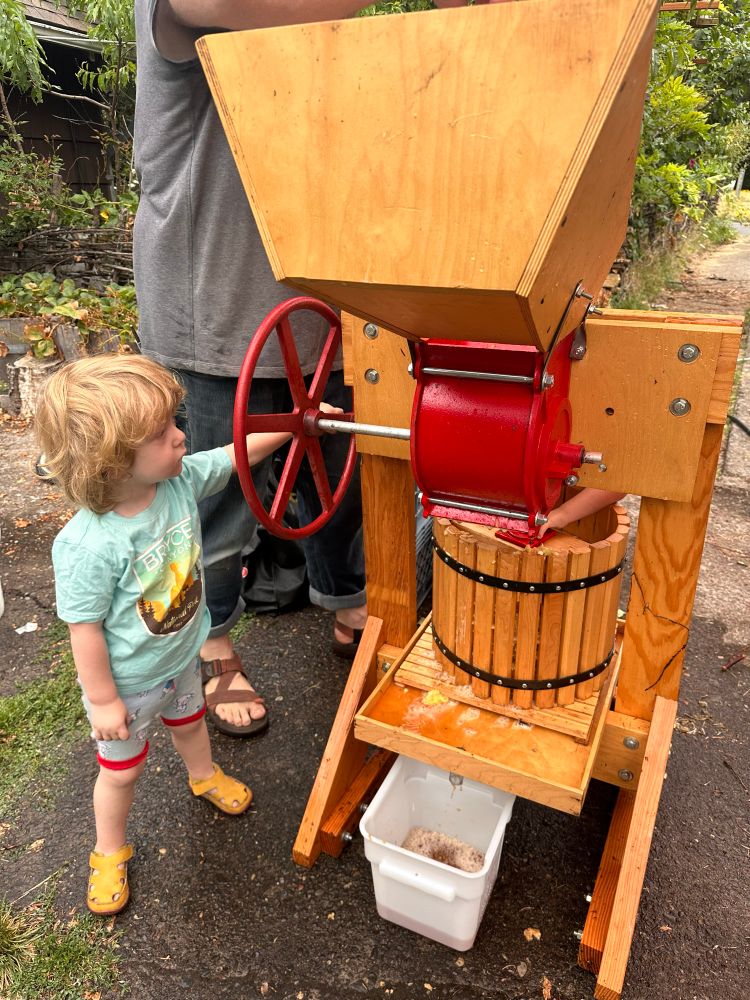 babies making cider 