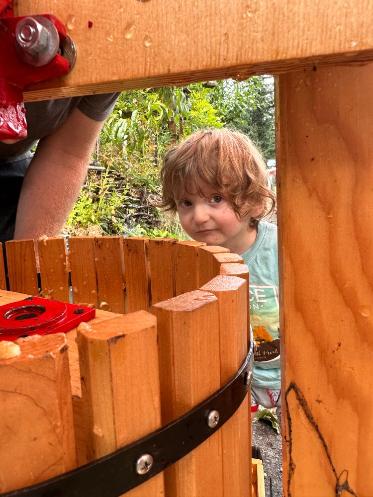 babies making cider 