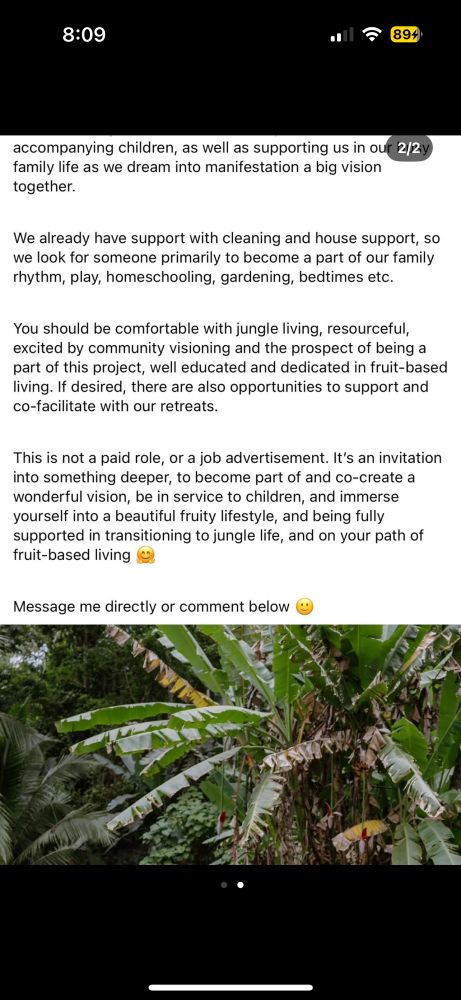 accompanying children, as well as supporting us in our 2/2y family life as we dream into manifestation a big vision together.
We already have support with cleaning and house support, so we look for someone primarily to become a part of our family rhythm, play, homeschooling, gardening, bedtimes etc.
You should be comfortable with jungle living, resourceful, excited by community visioning and the prospect of being a part of this project, well educated and dedicated in fruit-based living. If desired, there are also opportunities to support and co-facilitate with our retreats.
This is not a paid role, or a job advertisement. It's an invitation into something deeper, to become part of and co-create a wonderful vision, be in service to children, and immerse yourself into a beautiful fruity lifestyle, and being fully supported in transitioning to jungle life, and on your path of fruit-based living
Message me directly or comment below