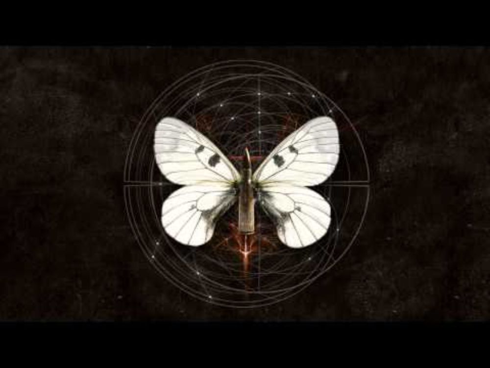 A life divided - Perpetual (VNV Nation Cover)