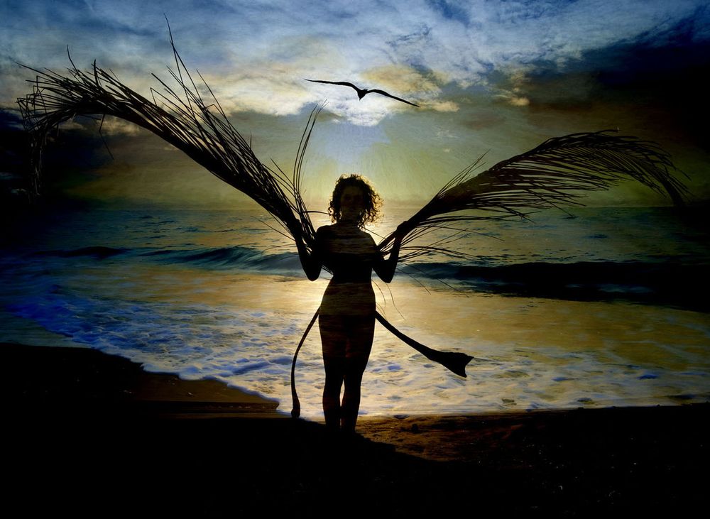 image of model with wings