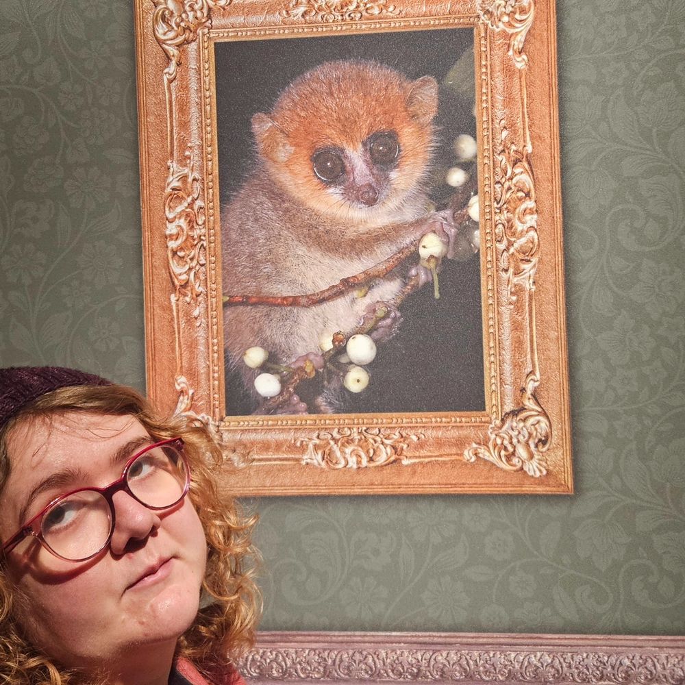 A primate with eyes bigger than its brain imitates a photograph of a tarsier