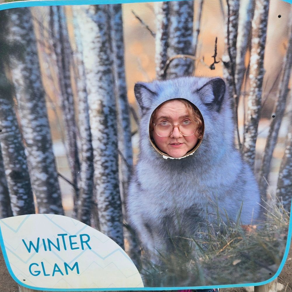 There is a white winter arctic fox with the caption summer chic. Except it's a photo board and I'm sticking my concerned face through it.