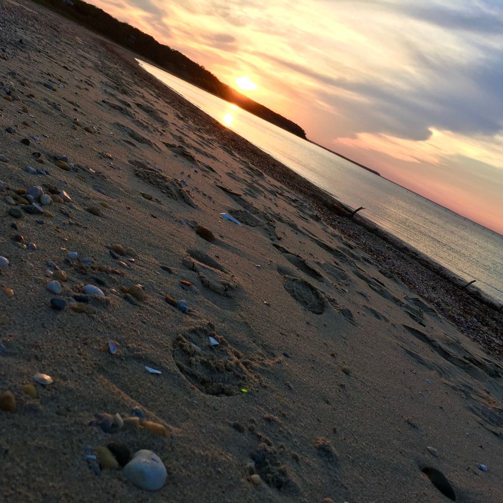 Sideways view of beach at sunset