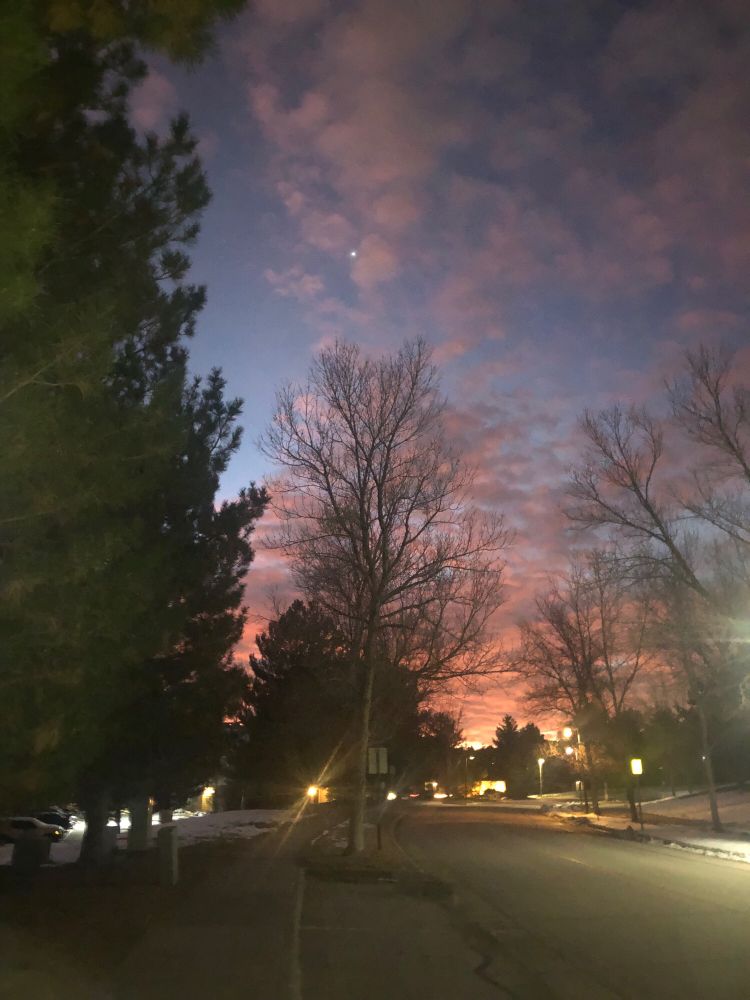 Early morning sunrise with trees.