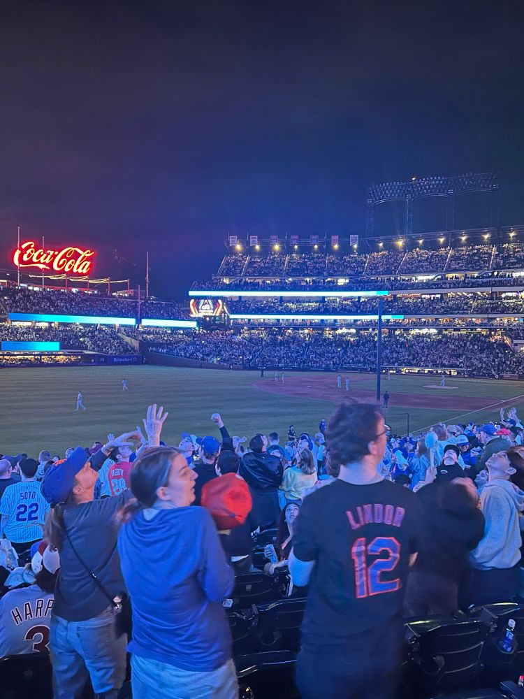 A Citi Field crowd scene