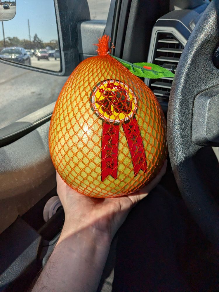 A disembodied hand holding a pomelo that is wrapped in plastic mesh