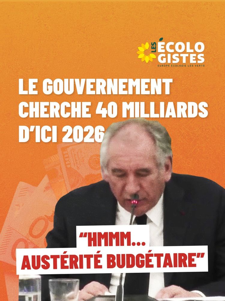 Visuel des Ecologistes qui parodie François Bayrou et sa blague sur Burger King :
"Hmmm... Austérité budgétaire"
