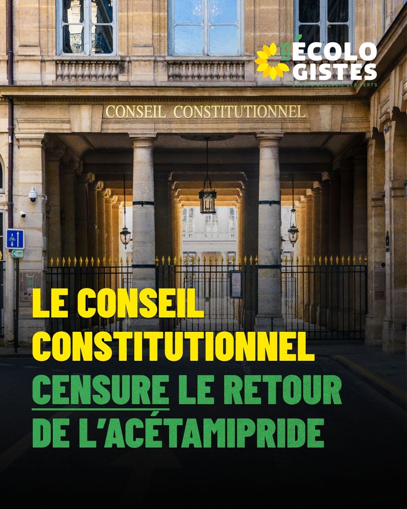 Le conseil constitutionnel censure le retour
de l’acétamipride