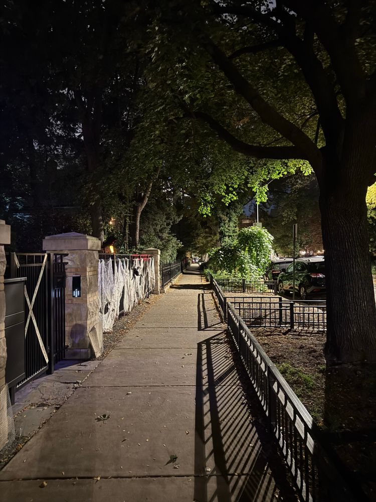 Orchard and Webster in the evening, comfy sidewalk lined by a gate on one side and trees on the other. 

The path is continuous and can be navigated without fear of cars. 