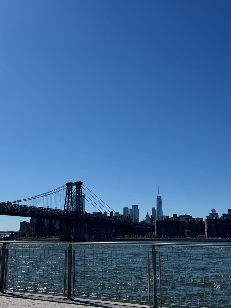 wburg bridge and wtc