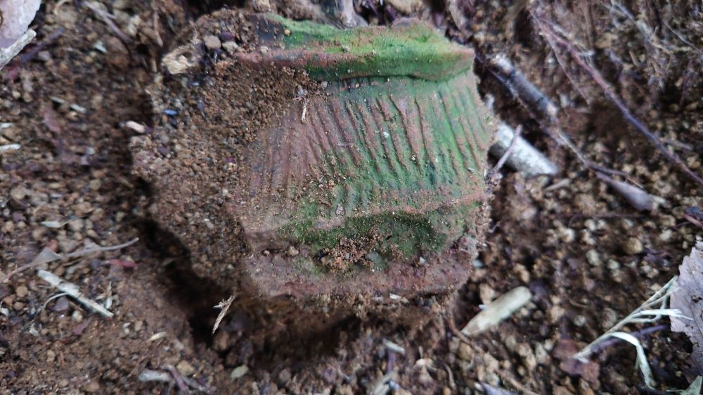 多胡古墳群寺ノ上支群
群馬県高崎市
群馬県の古墳
高崎市の古墳